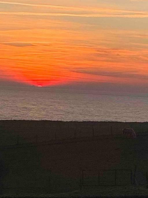 De 95 M2 Bien Situe Boulogne-sur-Mer
